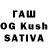 ГАШ hashish Pardo Fornaciari