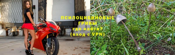 хмурый Алзамай