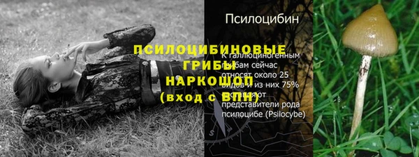 МДПВ Армянск
