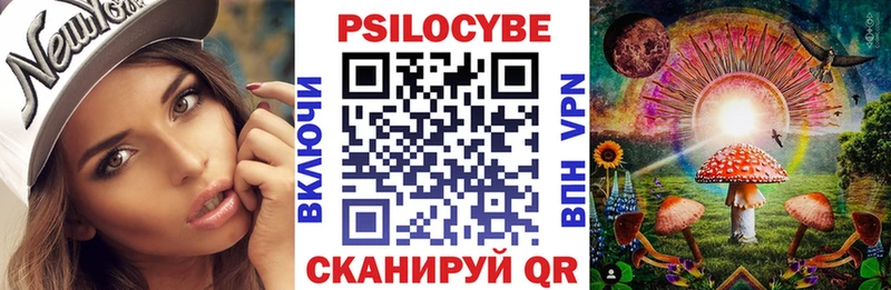 ОМГ ОМГ tor  Раменское  Псилоцибиновые грибы Psilocybe 